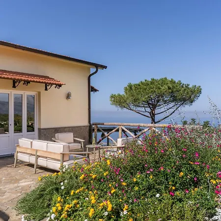 Giulia Boutique Views Pool And Guest Services